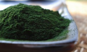 chlorella