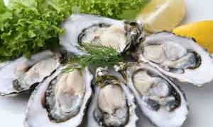 oysters-zinc-small