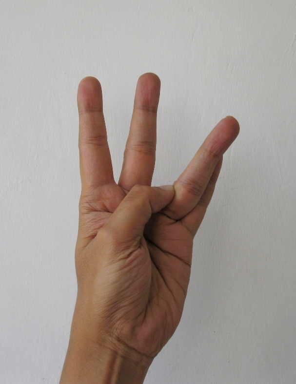 hand mudras for detoxification and healing
