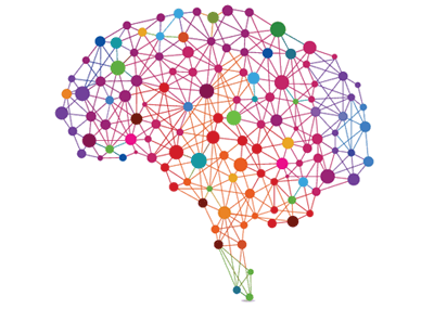 brain-hemisphere-balance-gamma wave