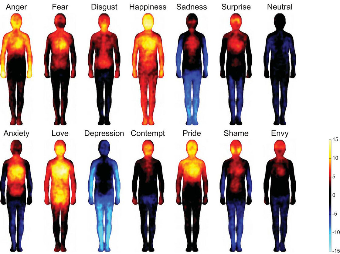 emotions in the body map