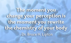 bruce lipton genetics fb 400