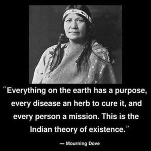 native american wisdom
