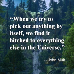 john-muir-web