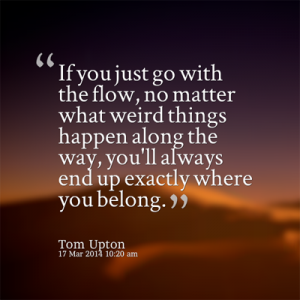 tom upton go with the flow copy fb 400