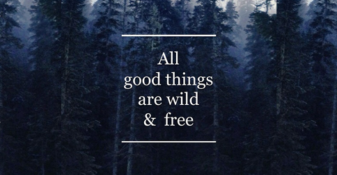 wildandfree