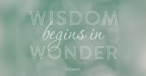 wisdomwonder