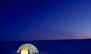 blue igloo lights