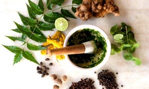 ayurvedic herbs