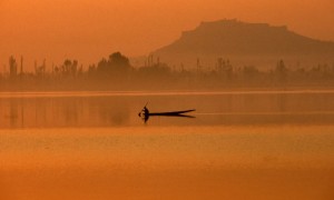 kashmir bliss