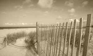 beach fence