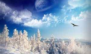 eagle-snow-forest-moon-small-300