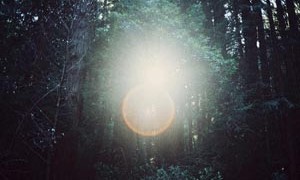 forest-creation-orb-light-spirit-small-300