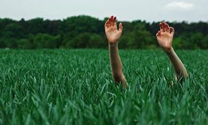 grass-hands-happy-nature-small-300