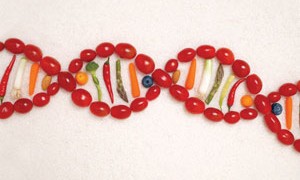 food-genes-dna-small-300