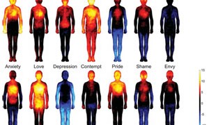 emotions-in-the-body-map-small-300